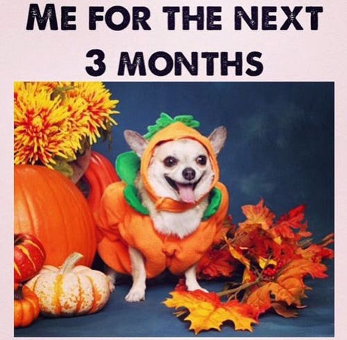 fall memes for 2017 that will get you in the pumpkin spice latte 19659487 2cad 417b b8c7 98d76cc41557 pumpkin spice meme fall funny?w=614&fit=max&auto=format&q=70 fall memes for 2017 that will get you in the pumpkin spice latte